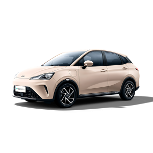 Neta AYA - Velocity Leasing